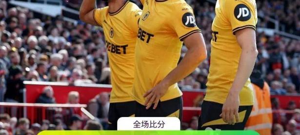 华体会官方-维拉客场不敌狼队，英超保级考验更为严峻的简单介绍