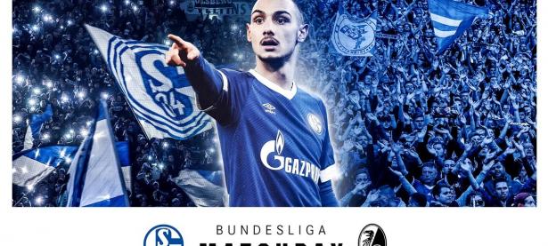 华体会官网-沙尔克04客场击败弗赖堡，豪取3分的简单介绍