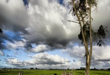 华体会官网-包含2021年欧洲足坛大事件：西甲是否会因梅西的离开而改变？的词条