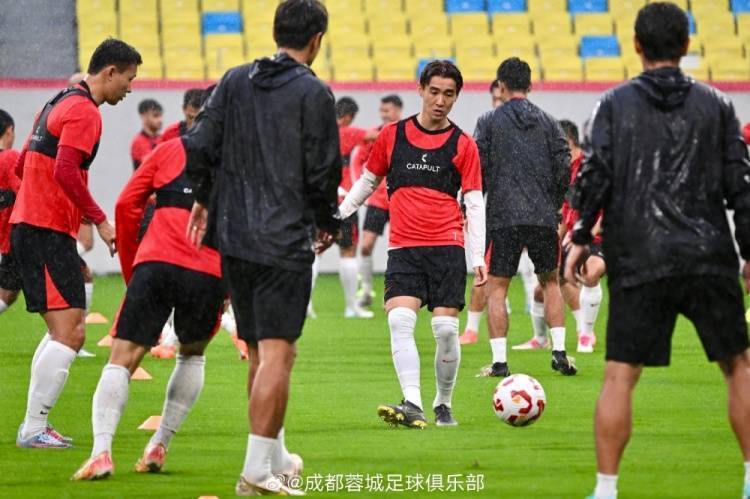 主教练在比赛中拼尽全力，为球队鼓劲的简单介绍